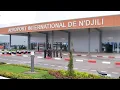 Download Lagu Un arbre qui cache la faillite organisationnelle de l’aéroport