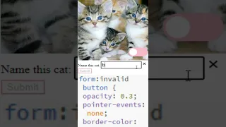 CSS disable submit of invalid form
