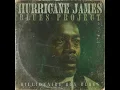 Download Lagu Billionaire Boy Blues [Full Album], by Hurricane James Blues Project