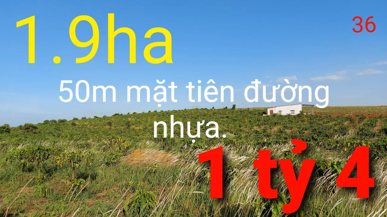 Bán 1ha9 50m mặt tiền. cách trung tâm 1.5km. giá 1 tỷ 4.