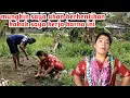 Download Lagu Beginilah Di kampung kami ini Kalau Saya Bicara Pasti Akan Bergaduh