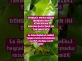 Download Lagu zikir 100x \