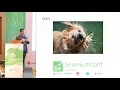 Continuous Testing by Titus Fortner