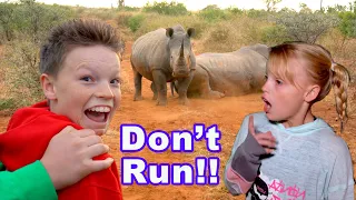 Download Sleeping in the jungle! We found Rhino! MP3