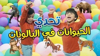 حيوانات في غرفة جاد وإياد Animal Balloons Challenge طيور الجنة 