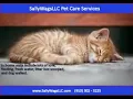 Pet Sitting Jacksonville NC