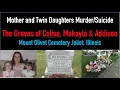The Graves of Celisa Kay Henning and her twins