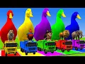 Download Lagu Long Slide Game With Cow Elephant Gorilla Hippopotamus Tiger 3d Animal Game Funny 3d Animals