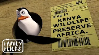 Surprise Trip To Africa! | Madagascar | Family Flicks