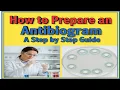 How to Prepare an Antibiogram - A Step by Step Guide