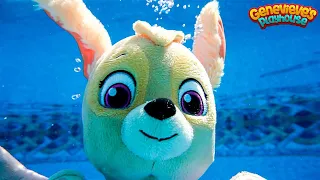 Download Paw Patrol Go Swimming on a Hot Day and Learn about Money and Responsibility! MP3