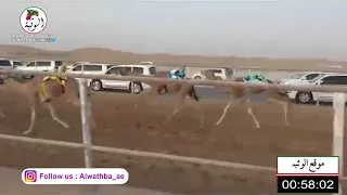 الشوط 4 منذر لـ محمد حمد راعي قحير الدرعي 2 17 5 شارة الصندوق 2021 6 25 الرقيعات فطامين 