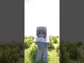 Download Lagu garam dan madu dance minecraft