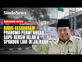 Lagu Habis Kesabaran! Prabowo Perintahkan Sapu Bersih Iklan \u0026 Spanduk Liar di Jalanan | Breaking News