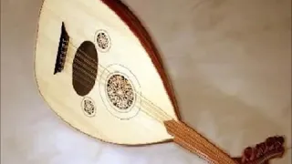 شيله ياليت مافي البلد عسكر ولا مباحث جنائيه عود طرررب 