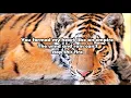 Architecture | Jonathan Thulin | Lyrics