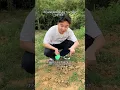 Download Lagu Crystal sellers on YouTube be like… #crystals #crystalspecimens #rawcrystals #minerals
