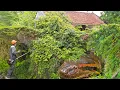 Download Lagu The hunter panicked when he heard a terrifying roar in the bushes. Clean up abandoned house