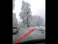 Download Lagu Snow paradise #snow #paradise