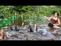 Download Lagu “Creative fishing with plastic bottles – Simple but extremely effective, catching many big fish!”