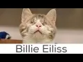 What NOT to name your pet