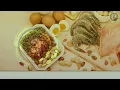 Semilla de Moringa 5 Beneficios que Debes Conocer Yerberia Esoterica San Miguel
