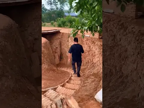 #babifreitas
