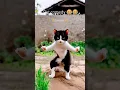 Download Lagu Bhilai ke comedy😂😂 #shorts #viralvideo