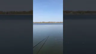 Анекдот про Рыбалку Приколы Охота Рыбалка Туризм Тик Ток Shorts 