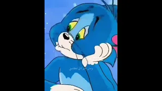 حماقي يلي زعلان مني ومخاصمني حالات واتس اب 