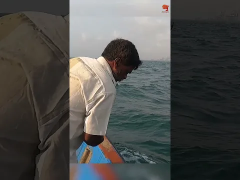 Catching Barracuda Fish in the Sea #fishing #fishingvideos #fishingtime