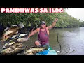 Download Lagu PAMIMIWAS NG ISDA SA ILOG | Catch \u0026 Cook