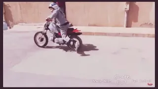 ءءءءءء       دندنها