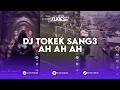 Download Lagu DJ TOKEK SANG3 AH AH AH SPEED UP + REVERB SOUND M'FZN FT AP REMIX BY RYANINSIDE