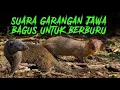 Download Lagu SUARA GARANGAN MANGGIL TEMAN 🟡 VOLUME KERAS