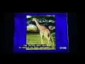 Download Lagu Jeopardy, Celebrity Jeopardy 2001 - “What is Africa” (2/7/01)