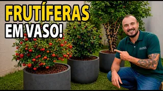3 FRUTÍFERAS EM VASO | Como cultivar passo a passo (do plantio a adubação)