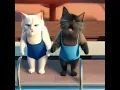 Download Lagu Luma ai cat memes