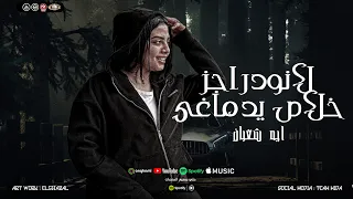 لانودراجز خلاص يدماغي كلها عايشه بنيه حقوده ال هيجي فيكم علي سكتي ايه شعبان منوعات دندنها