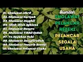 Lagu KUMPULAN SHOLAWAT NABI PELANCAR REJEKI | Sholawat Jibril, Sholawat Nariyah | SHOLAWAT VIRAL 2025
