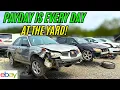 Payday Is Every Day at the Junkyard