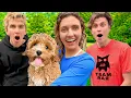 Surprising SHARER FAMILY with my NEW PUPPY