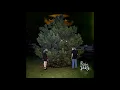 StuPain Horse (100 gecs x drake & carti mashup)