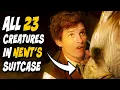 ALL 23 Creatures 15 Habitats Inside Newt s Suitcase How it WORKS - Harry Potter Explained