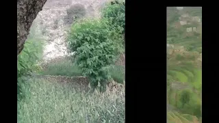 مشتاق لك أسأل دندنها