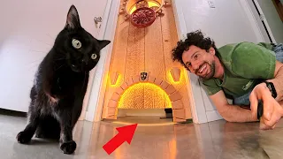 I Built an Over-Engineered Door for My Wobbly Cat