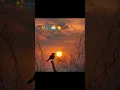 Download Lagu #song #sunset#dj remix #love #mom #miss you