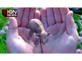 Mysterious Magic Leap Tech Raises Over 500 Million in Funding - IGN News