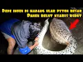 Lagu DEDE INOEN'S NIGHT IN THE BIG PYTON SNAKE