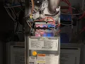 Carrier Furnace Start Up